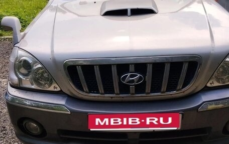 Hyundai Terracan I, 2002 год, 550 000 рублей, 20 фотография