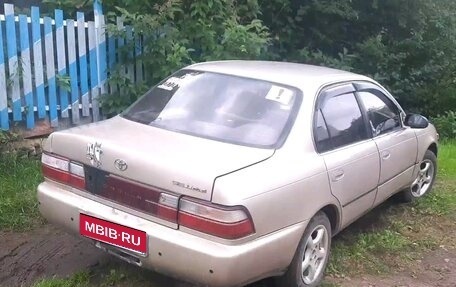 Toyota Corolla, 1994 год, 225 000 рублей, 1 фотография