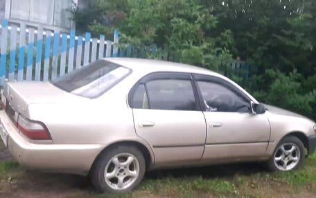 Toyota Corolla, 1994 год, 225 000 рублей, 3 фотография
