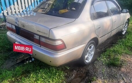 Toyota Corolla, 1994 год, 225 000 рублей, 6 фотография