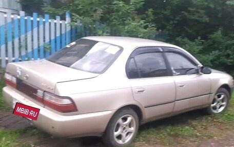 Toyota Corolla, 1994 год, 225 000 рублей, 2 фотография