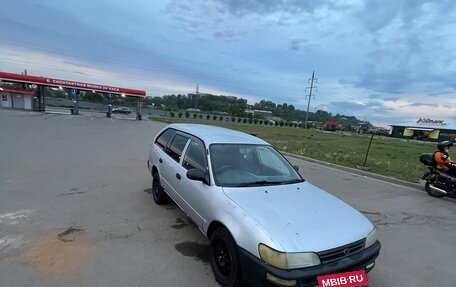 Toyota Corolla, 2001 год, 210 000 рублей, 7 фотография