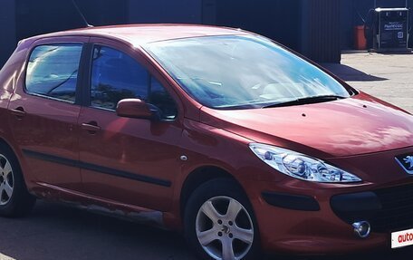 Peugeot 307 I, 2006 год, 300 000 рублей, 4 фотография
