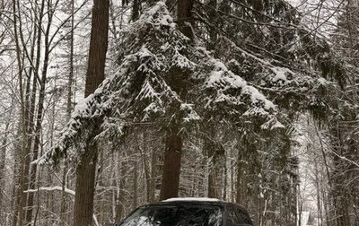 Ford Ranger, 2025 год, 5 100 000 рублей, 1 фотография