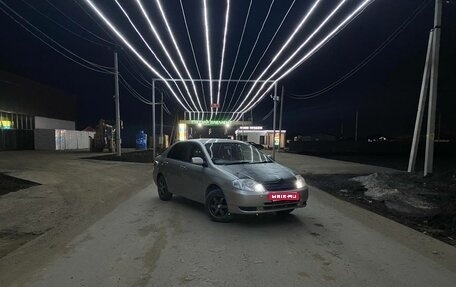Toyota Corolla, 2003 год, 370 000 рублей, 1 фотография