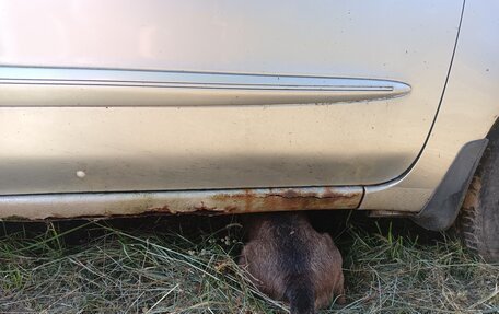 Nissan Maxima VIII, 2004 год, 300 000 рублей, 24 фотография
