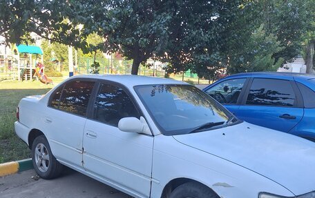 Toyota Corolla, 1995 год, 350 000 рублей, 3 фотография