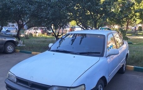 Toyota Corolla, 1995 год, 350 000 рублей, 2 фотография