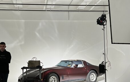 Chevrolet Corvette C3, 1981 год, 6 500 000 рублей, 5 фотография