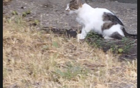 Peugeot 307 I, 2007 год, 700 000 рублей, 12 фотография