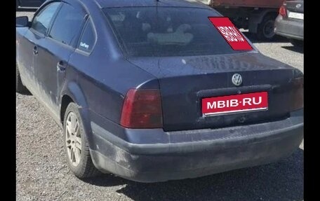 Volkswagen Passat B5+ рестайлинг, 1997 год, 170 000 рублей, 1 фотография
