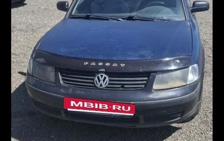 Volkswagen Passat B5+ рестайлинг, 1997 год, 170 000 рублей, 3 фотография