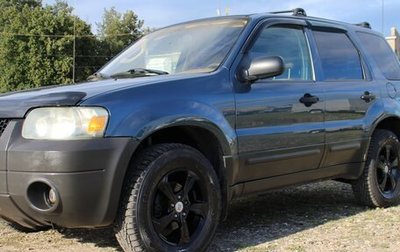 Ford Escape II, 2004 год, 545 000 рублей, 1 фотография
