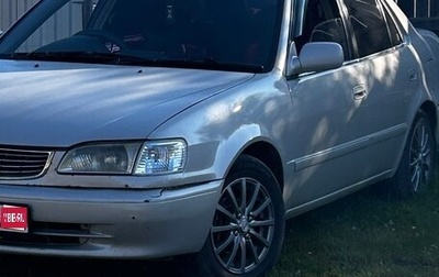 Toyota Corolla, 1998 год, 385 000 рублей, 1 фотография