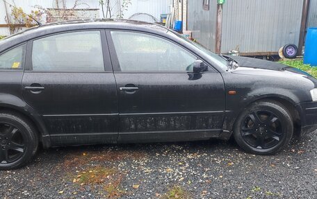 Volkswagen Passat B5+ рестайлинг, 1998 год, 180 000 рублей, 10 фотография