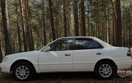 Toyota Corolla, 1999 год, 390 000 рублей, 5 фотография
