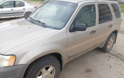 Ford Escape II, 2001 год, 410 000 рублей, 1 фотография