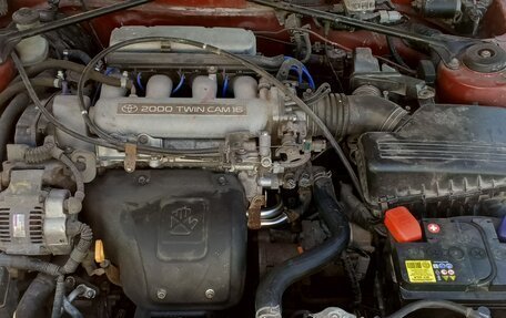 Toyota Curren, 1995 год, 611 000 рублей, 12 фотография