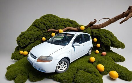 Chevrolet Aveo III, 2005 год, 419 001 рублей, 1 фотография