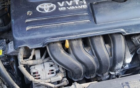Toyota Corolla, 2003 год, 500 000 рублей, 14 фотография