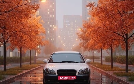 Hyundai Sonata IV рестайлинг, 2006 год, 500 000 рублей, 2 фотография