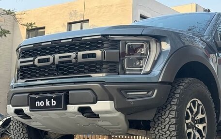 Ford F-150, 2024 год, 9 700 000 рублей, 4 фотография