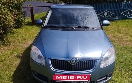 Skoda Fabia II, 2009 год, 475 000 рублей, 11 фотография