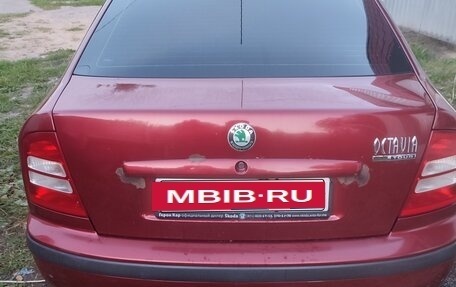 Skoda Octavia IV, 2007 год, 300 000 рублей, 4 фотография