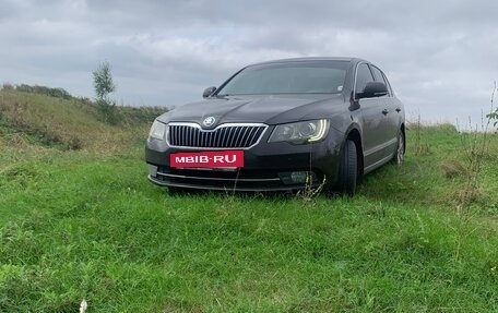 Skoda Superb III рестайлинг, 2013 год, 980 000 рублей, 5 фотография