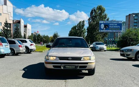 Toyota Corolla, 1991 год, 349 000 рублей, 3 фотография