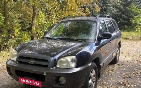 Hyundai Santa Fe III рестайлинг, 2004 год, 1 фотография