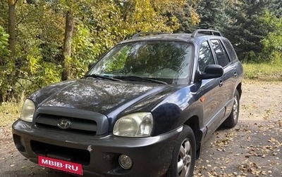 Hyundai Santa Fe III рестайлинг, 2004 год, 1 фотография