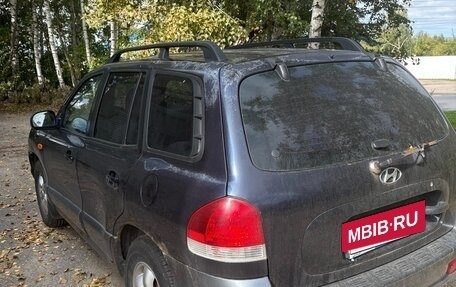 Hyundai Santa Fe III рестайлинг, 2004 год, 6 фотография