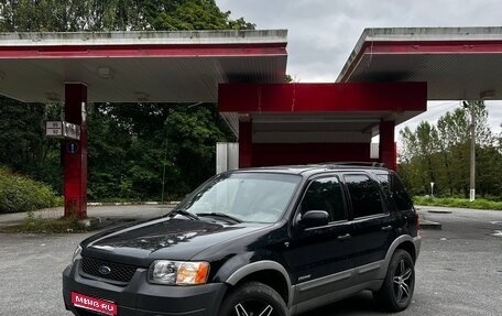 Ford Escape II, 2001 год, 350 000 рублей, 1 фотография