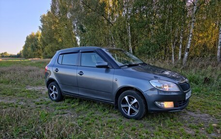 Skoda Fabia II, 2010 год, 445 000 рублей, 3 фотография