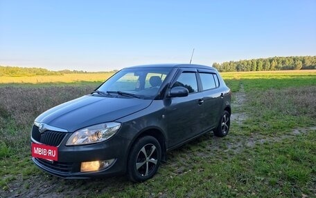 Skoda Fabia II, 2010 год, 445 000 рублей, 2 фотография