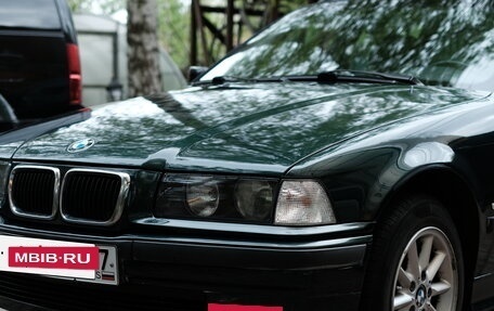 BMW 3 серия, 1998 год, 590 000 рублей, 2 фотография