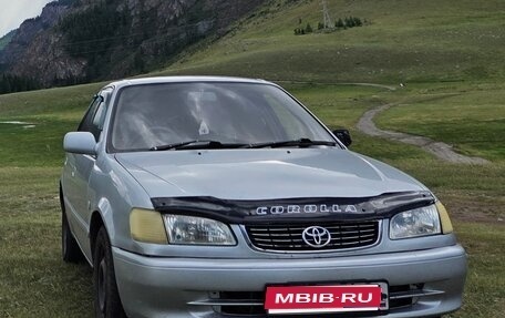 Toyota Corolla, 1998 год, 300 000 рублей, 1 фотография