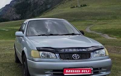 Toyota Corolla, 1998 год, 300 000 рублей, 1 фотография