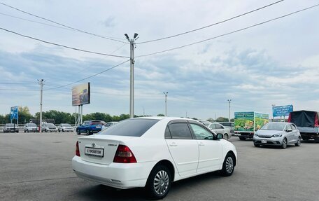 Toyota Corolla, 2002 год, 350 000 рублей, 6 фотография