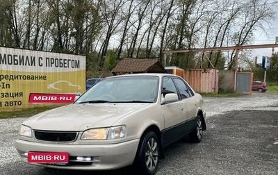 Toyota Corolla, 1998 год, 199 000 рублей, 1 фотография