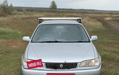 Toyota Corolla, 1999 год, 300 000 рублей, 1 фотография
