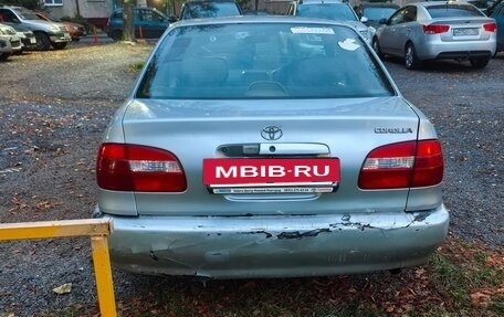 Toyota Corolla, 1999 год, 250 000 рублей, 5 фотография