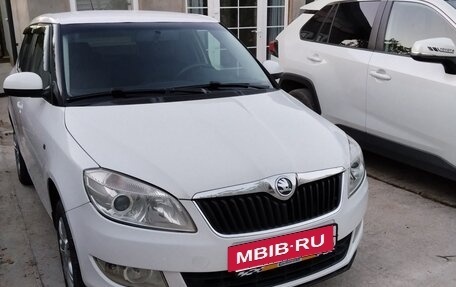 Skoda Fabia II, 2013 год, 699 000 рублей, 1 фотография