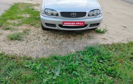Toyota Corolla, 2001 год, 350 000 рублей, 1 фотография