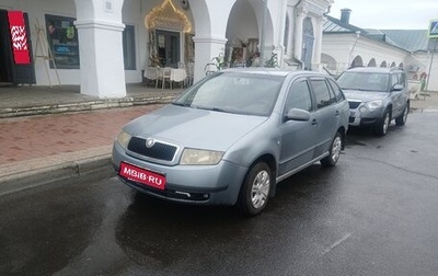 Skoda Fabia I, 2004 год, 255 000 рублей, 1 фотография