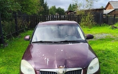 Skoda Fabia II, 2009 год, 250 000 рублей, 1 фотография
