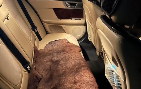 Jaguar XF I рестайлинг, 2013 год, 1 450 000 рублей, 2 фотография