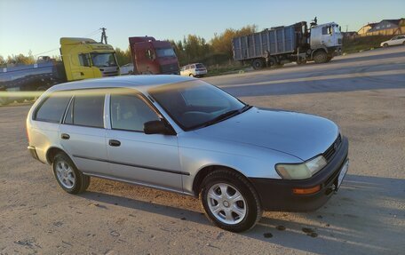 Toyota Corolla, 2001 год, 275 000 рублей, 7 фотография