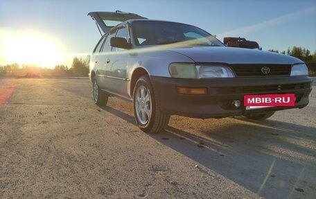 Toyota Corolla, 2001 год, 275 000 рублей, 17 фотография